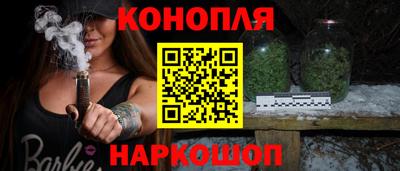 сатива Малгобек