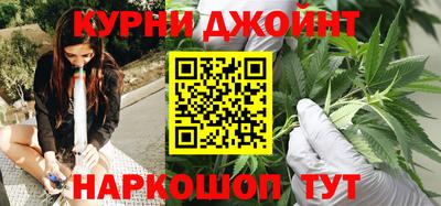 сатива Малгобек