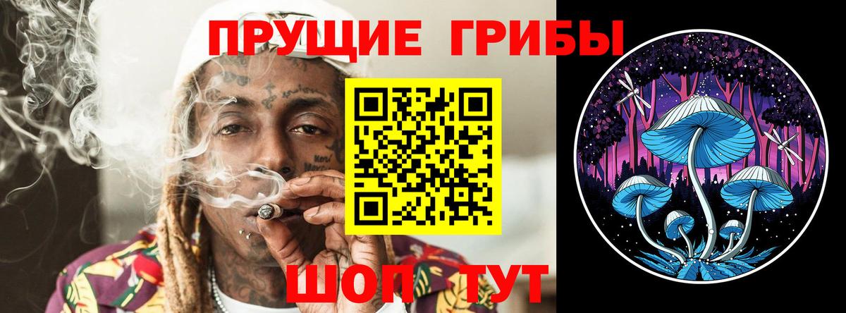 Псилоцибиновые грибы Cubensis Волжский