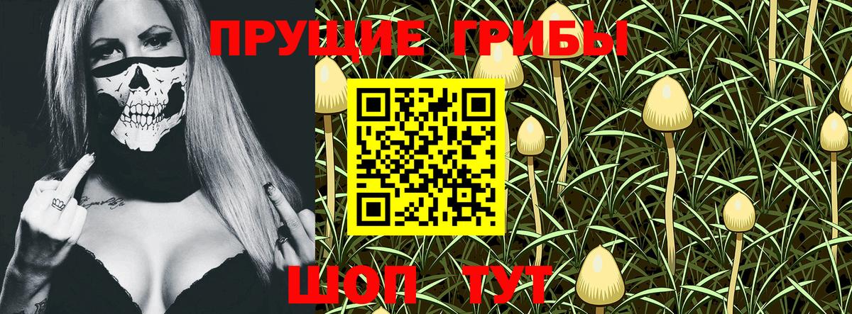 Псилоцибиновые грибы Psilocybine cubensis  Галлюциногенные грибы прущие грибы  Волжский  Вход с VPN 